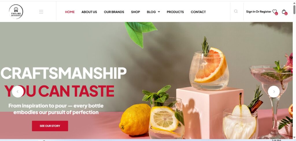 Fintling Beverages premium drink brand